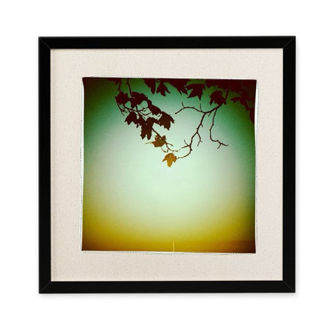 ‘Focussed growth’ framed silk