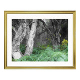 Ornate Frame Art Prints ‘ Pure Land’