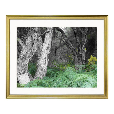 Ornate Frame Art Prints ‘ Pure Land’