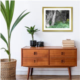 Ornate Frame Art Prints ‘ Pure Land’