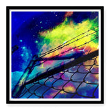 Framed Art Prints’Looking up at the stars - sacred Ibis’
