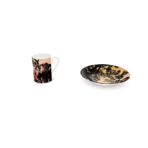 Cup and Saucer’Wandoo’