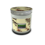 Set Candle In Jar ‘lime basil and mandarin’
