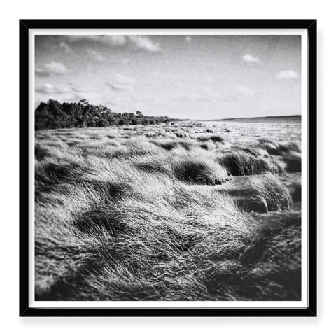 Box Frame Art Prints ‘Windswept’