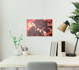 Bloodwood 2