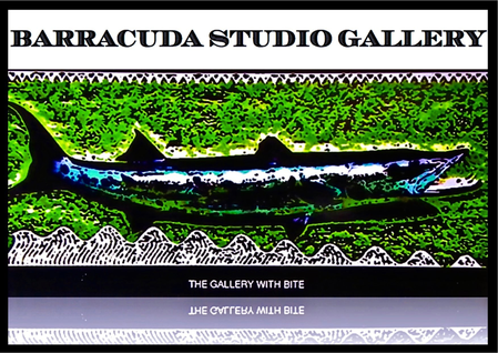 Barracuda Studio Gallery Design and Lifestyle Store